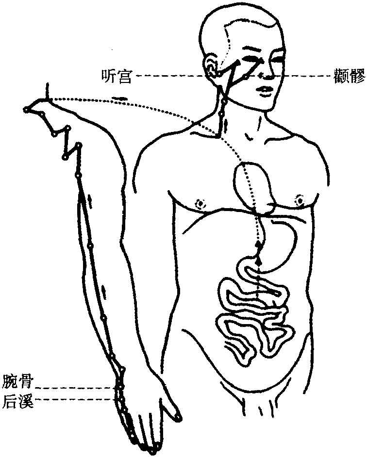 六、手太陽(yáng)小腸經(jīng)